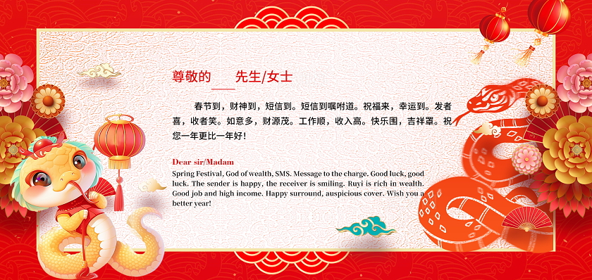 红色大气2025蛇年贺卡宣传设计