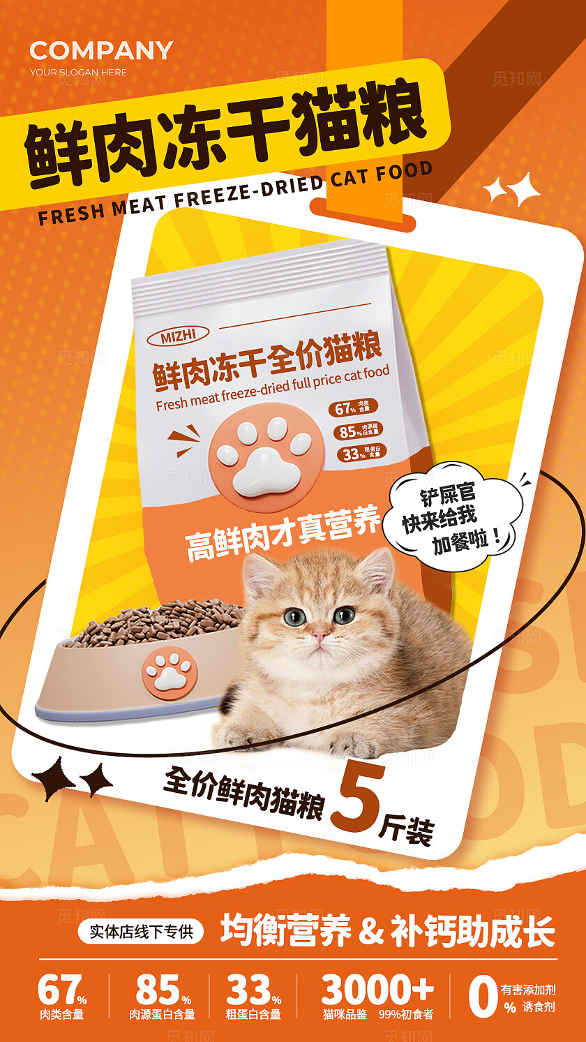 橙色扁平撕纸风鲜肉冻干猫粮宠物食品宣传手机海报宠物萌宠