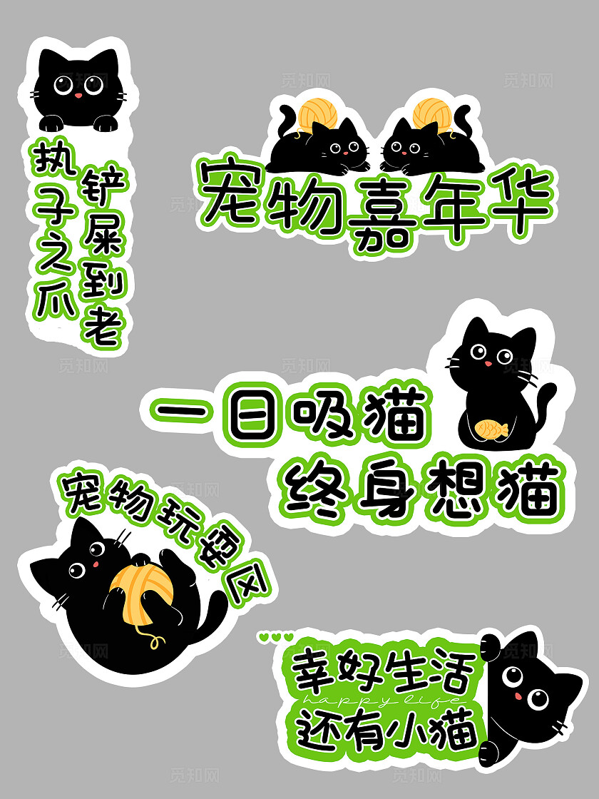卡通手绘小黑猫宠物手举牌宠物萌宠