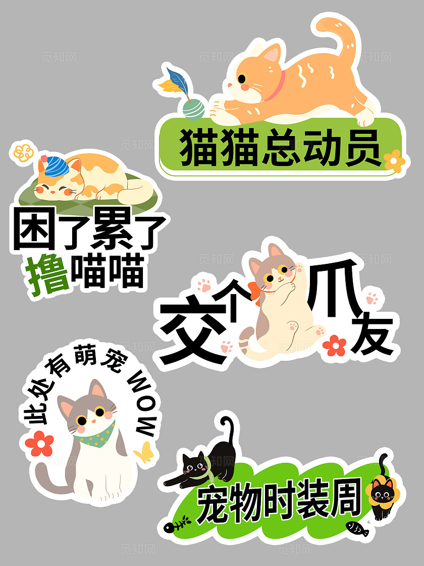 2024卡通手绘可爱萌宠猫咪宠物手举牌宠物萌宠