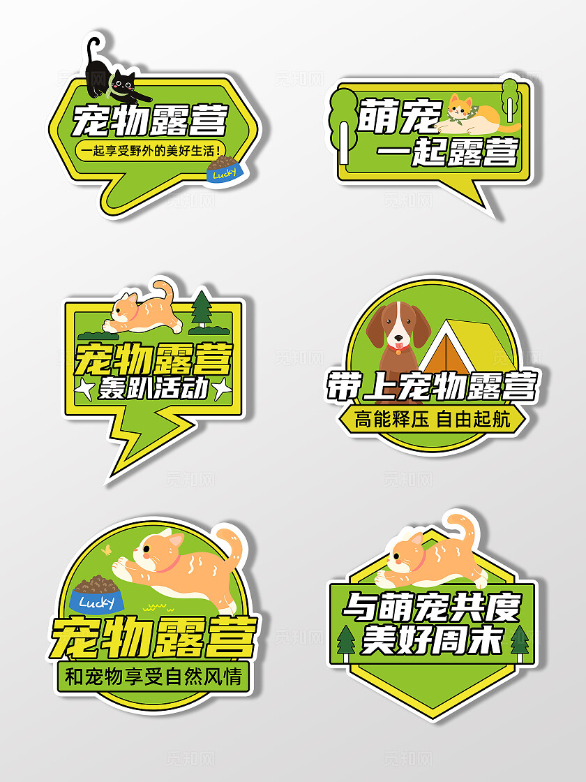 绿色2024卡通手绘可爱宠物露营手举牌萌宠手举牌宠物萌宠