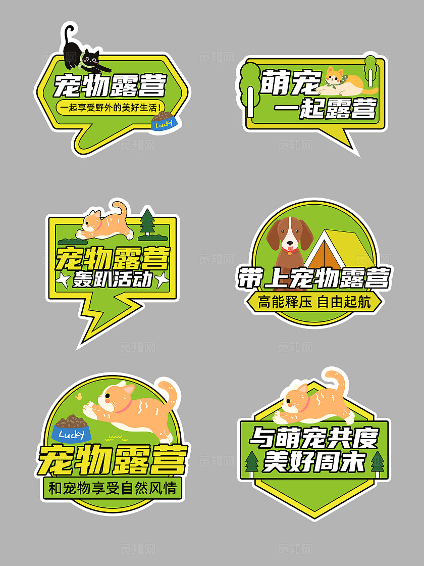 绿色2024卡通手绘可爱宠物露营手举牌萌宠手举牌宠物萌宠