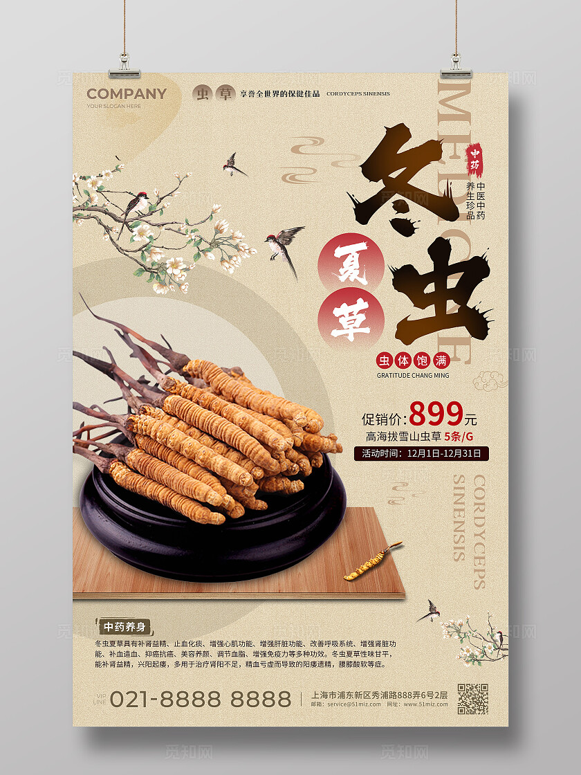 新中式风冬虫夏草中医药材医药宣传海报中医药材文案海报中医药材中医药宣传