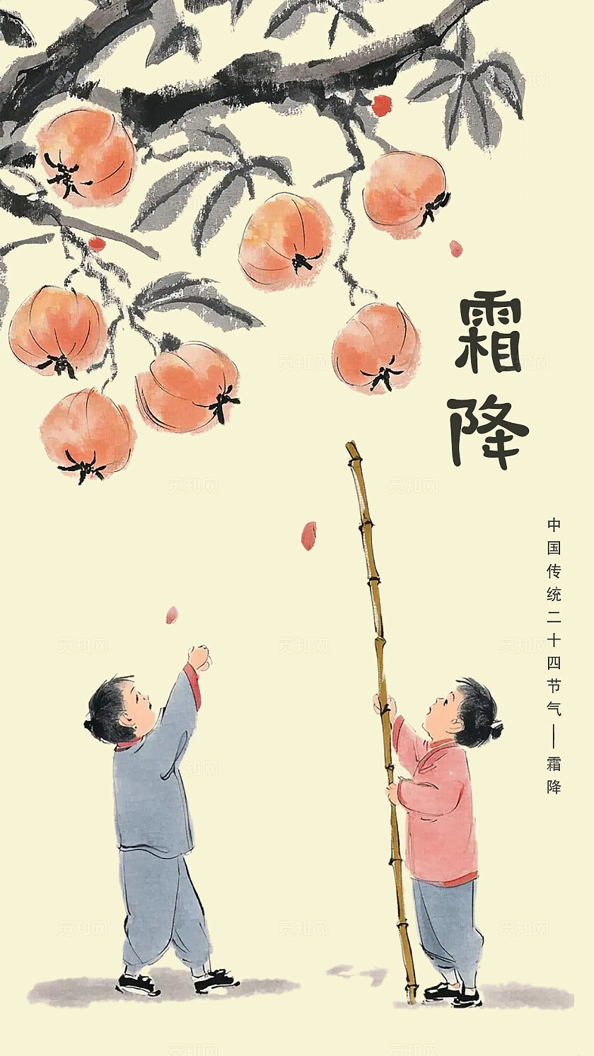 简单大气传统二十四节气系列卡通插画手机海报宣传