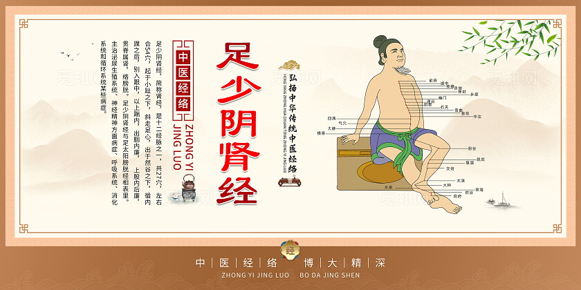 中式古风中医人体经络穴位图中国风传统中医文化足少阴胆经穴位