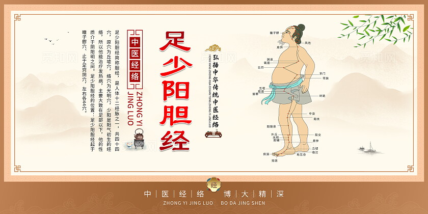 中式古风中医人体经络穴位图中国风传统中医文化足少阴胆经穴位