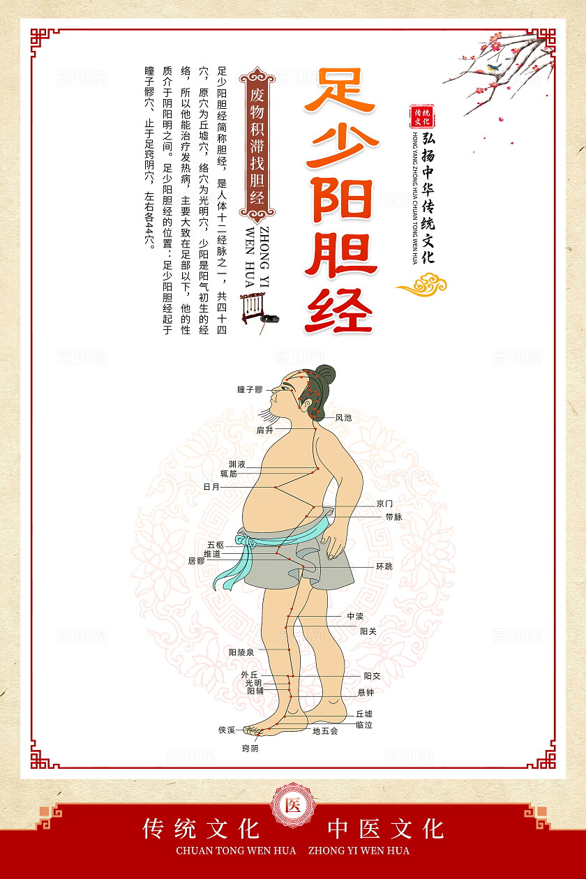 中国风传统中医人体经络穴位图套图