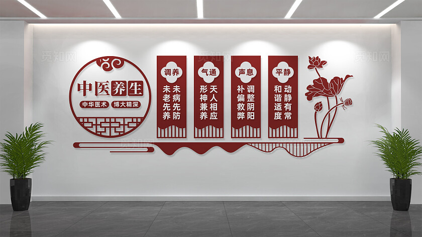 中医养生调理文化墙形象墙