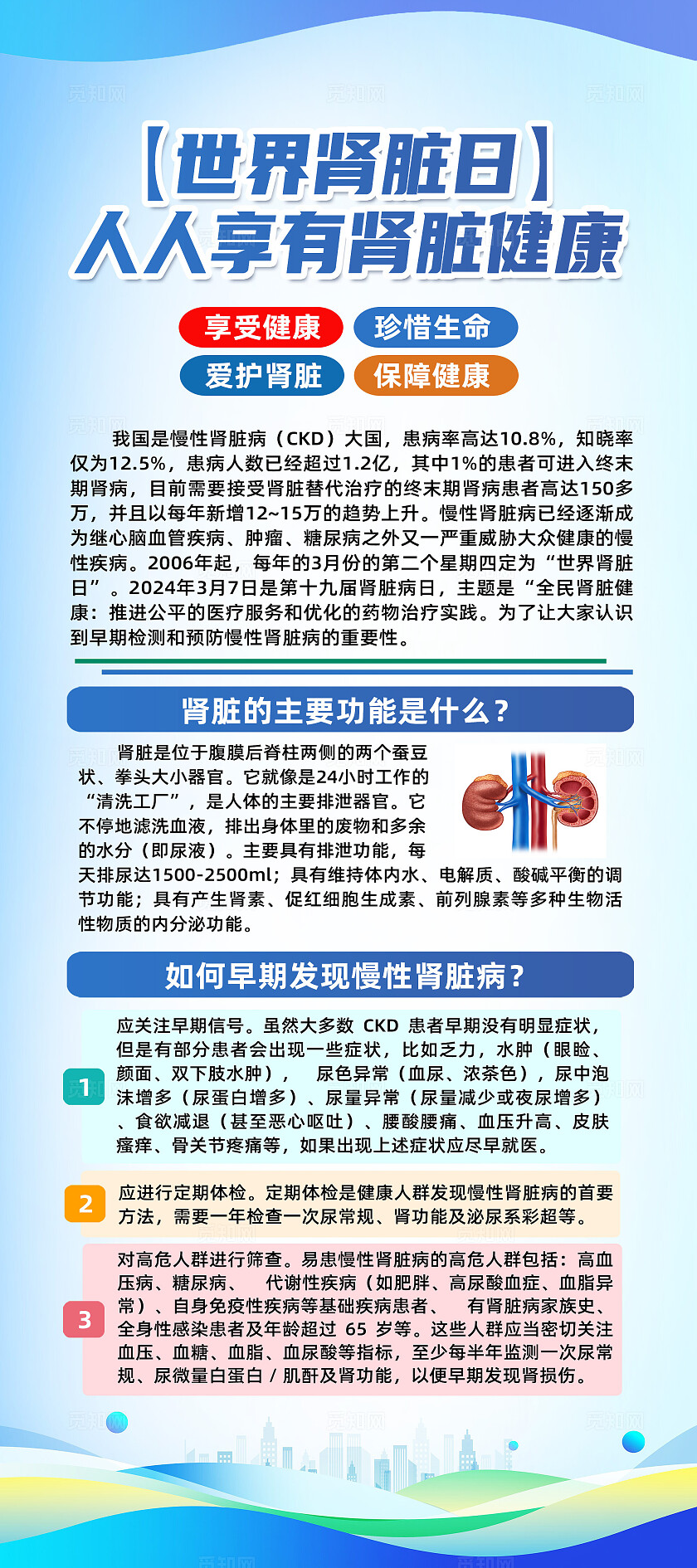 蓝色简约人人享有肾脏健康世界肾脏日展架宣传