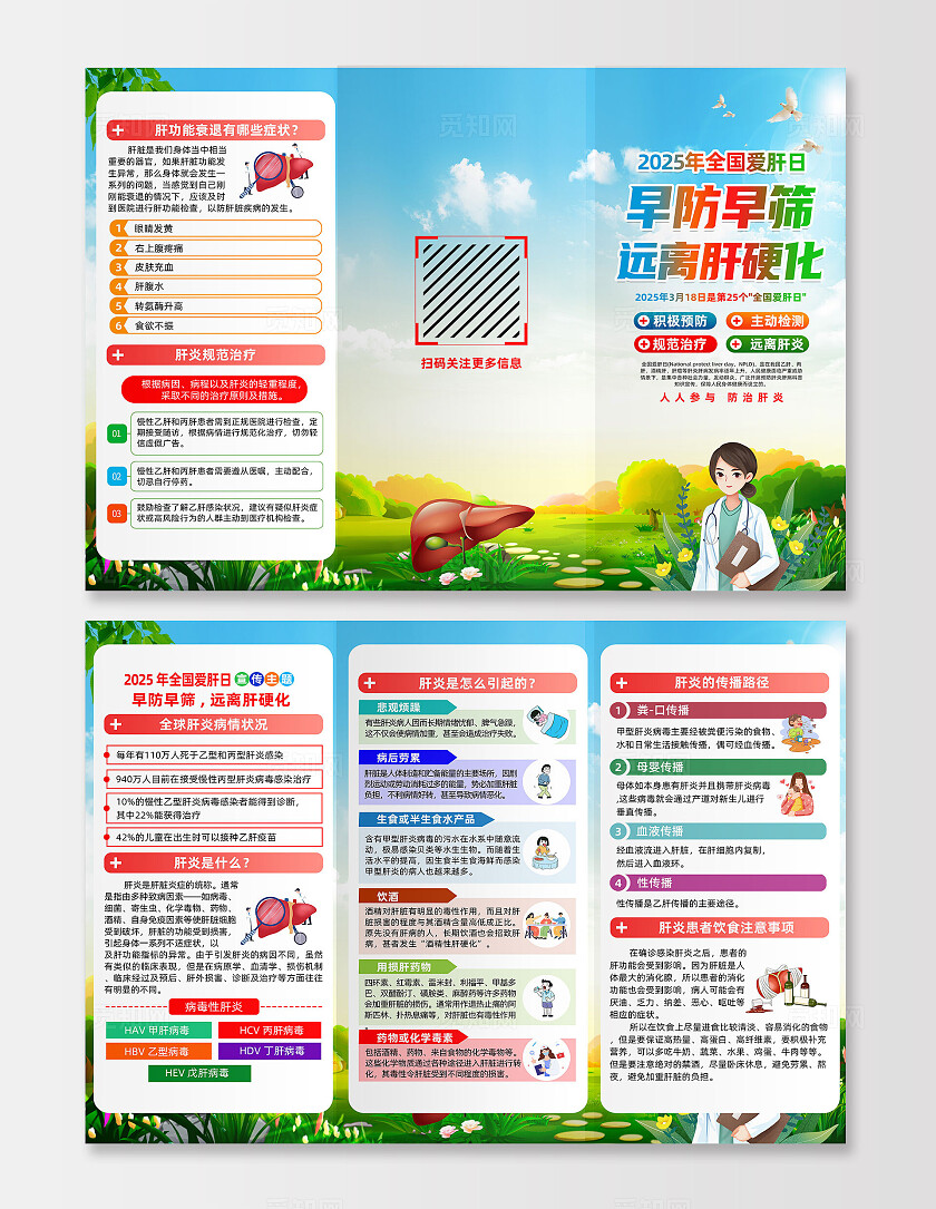 绿色卡通早防早筛远离肝硬化2025全国爱肝日三折页宣传