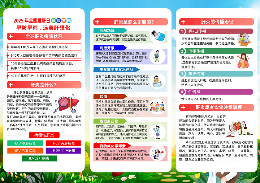 绿色卡通早防早筛远离肝硬化2025全国爱肝日三折页宣传