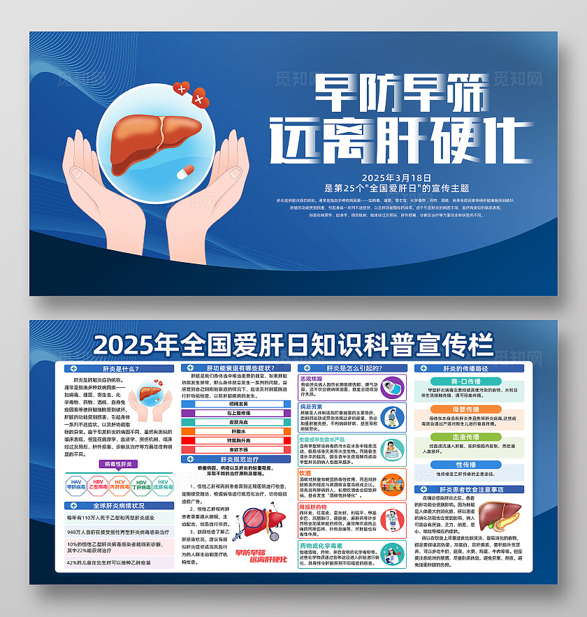 蓝色简约造访早筛远离肝硬化2025全国爱肝日展板宣传