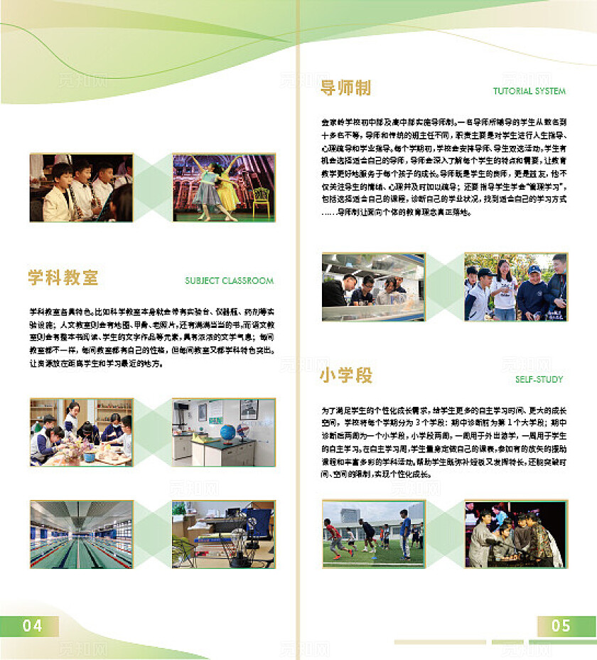 绿色大气校园招生折页