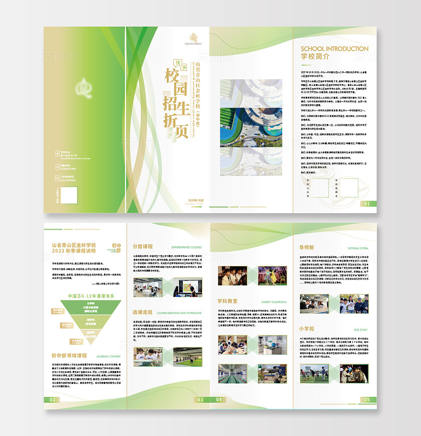 绿色大气校园招生折页