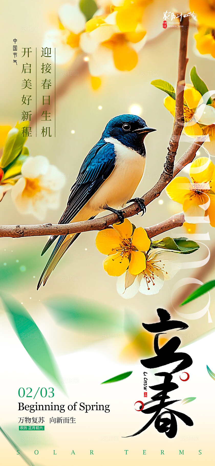 渐变色实拍风格立春立春手机宣传海报立春宣传海报立春海报