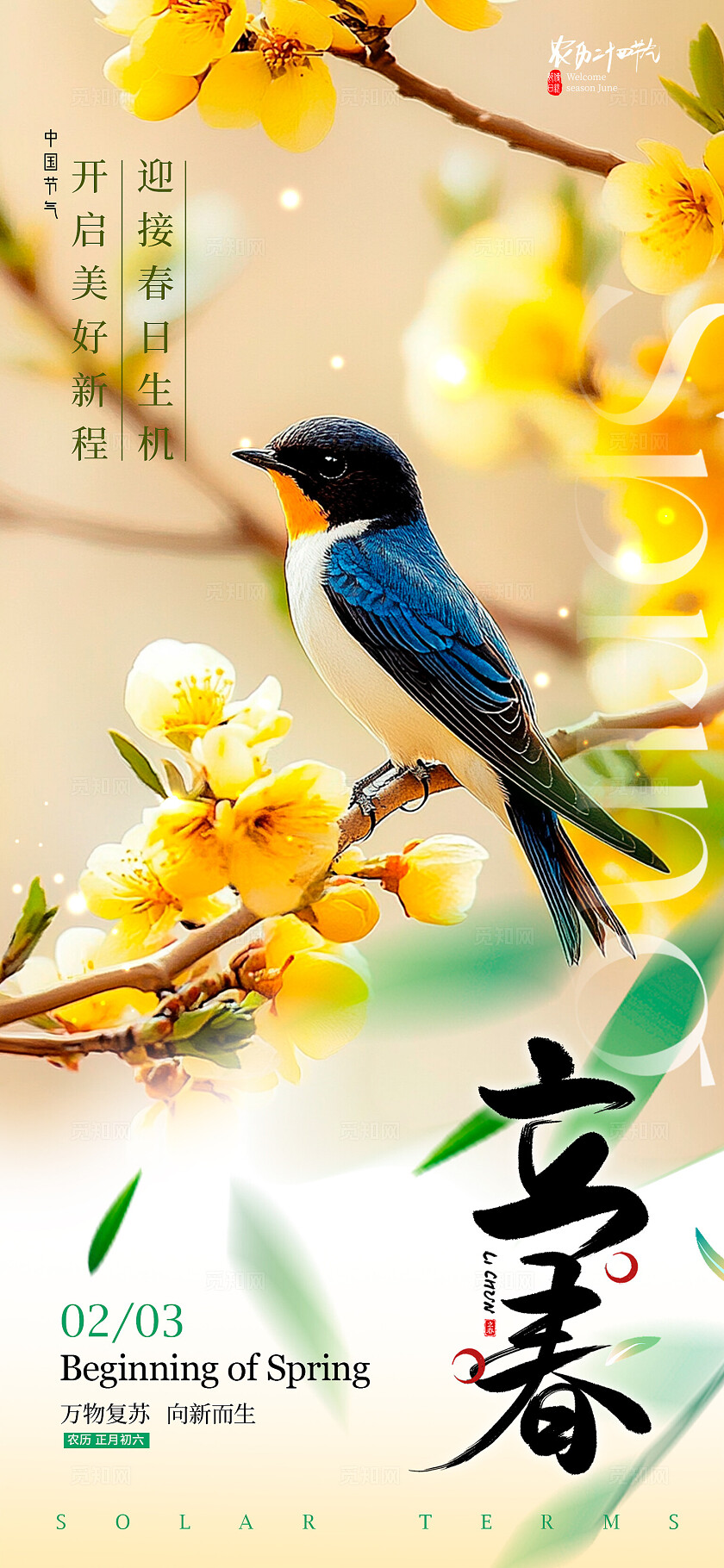 渐变色实拍风格立春立春手机宣传海报立春宣传海报立春海报