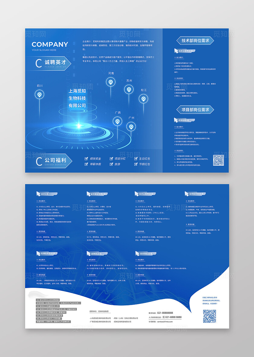 2025蛇年蓝色简约科技招聘宣传单