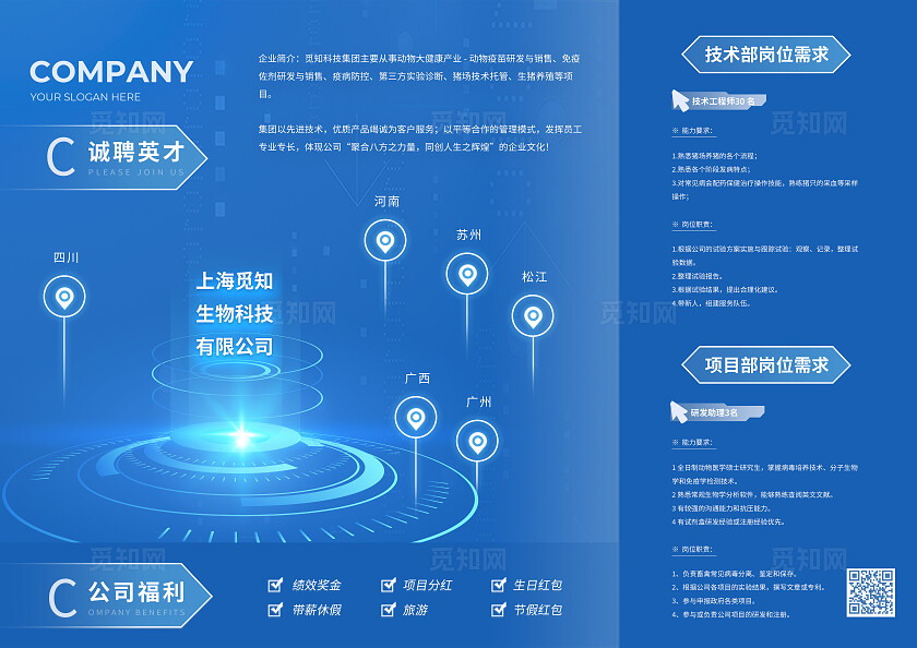 2025蛇年蓝色简约科技招聘宣传单