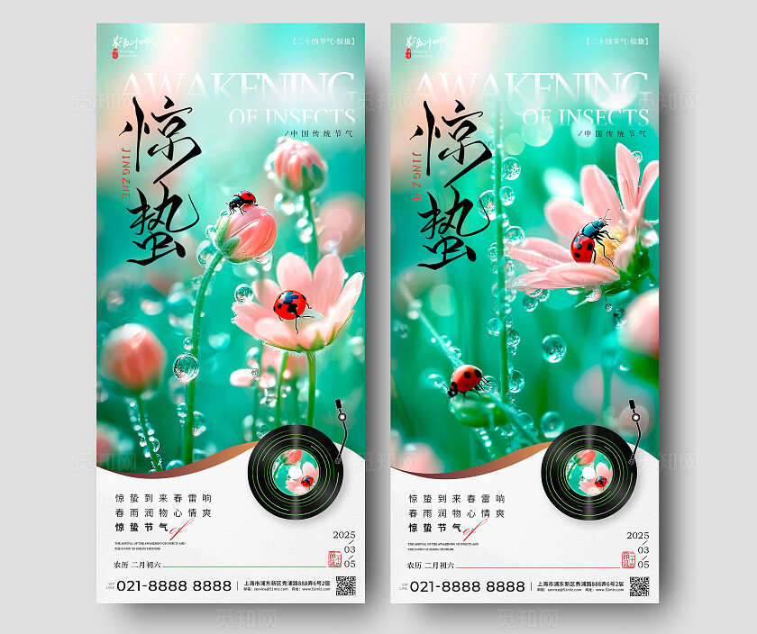 绿色实拍风格惊蛰惊蛰手机宣传海报惊蛰宣传海报惊蛰海报