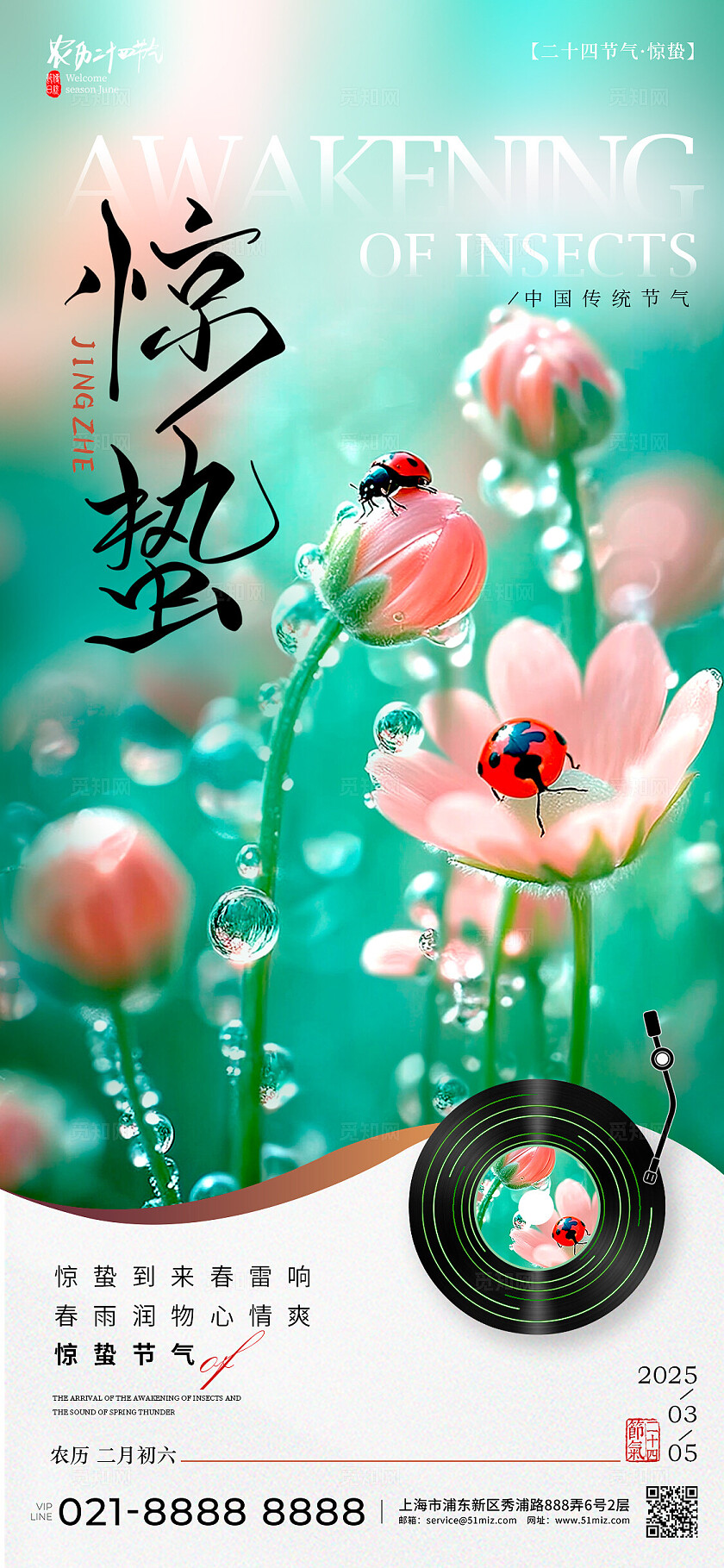 绿色实拍风格惊蛰惊蛰手机宣传海报惊蛰宣传海报惊蛰海报