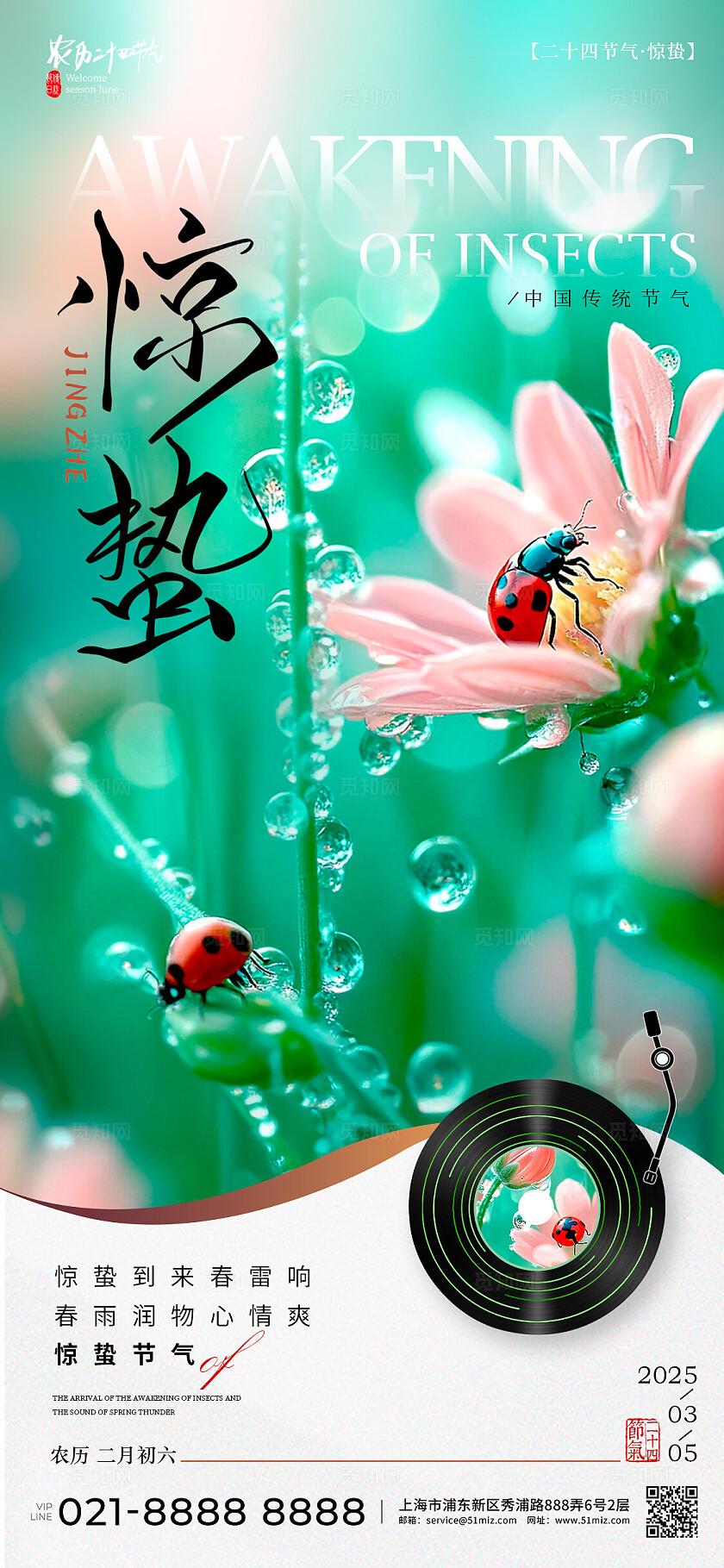 绿色实拍风格惊蛰惊蛰手机宣传海报惊蛰宣传海报惊蛰海报
