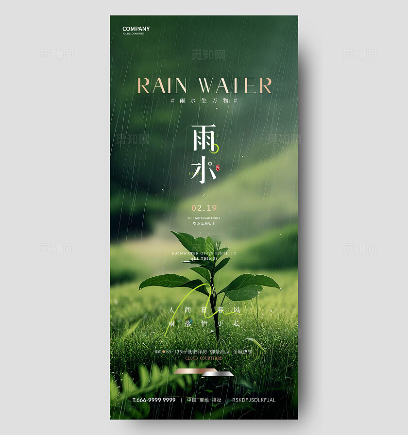 雨水节气海报