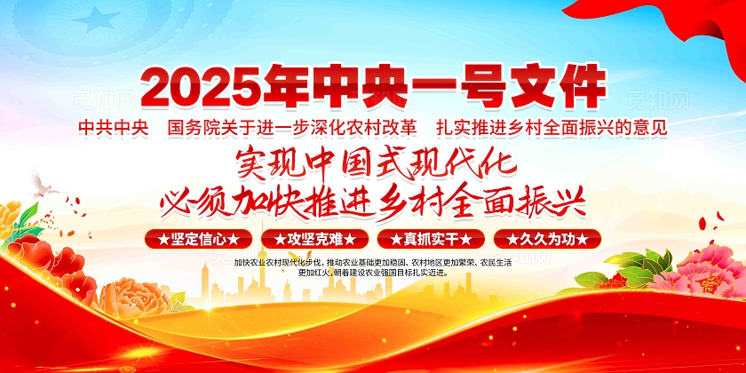 2025年中央一号文件党建宣传展板