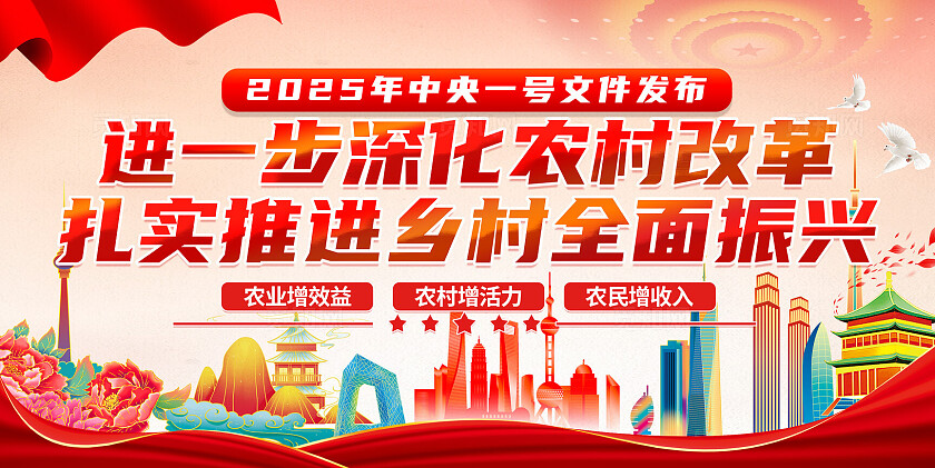 2025年中央一号文件党建宣传展板