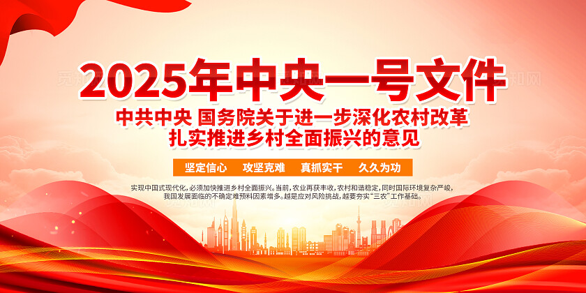 简单大气红色党建2025年中央一号文件精神宣传展板