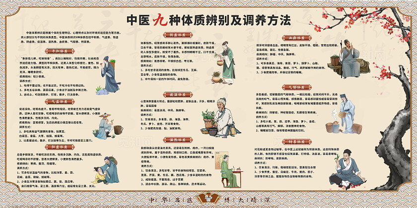 浅色中医文化展板