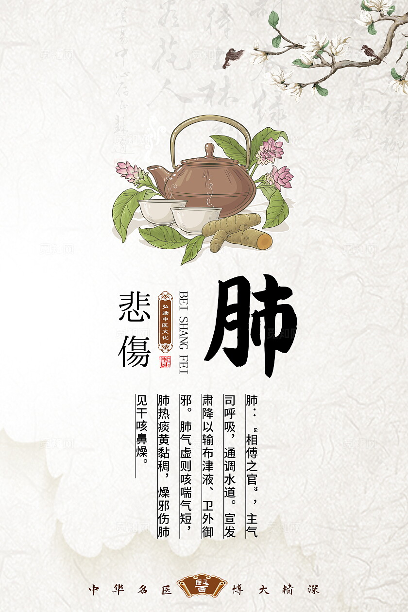 浅色心肝脾胃肾中医文化展板