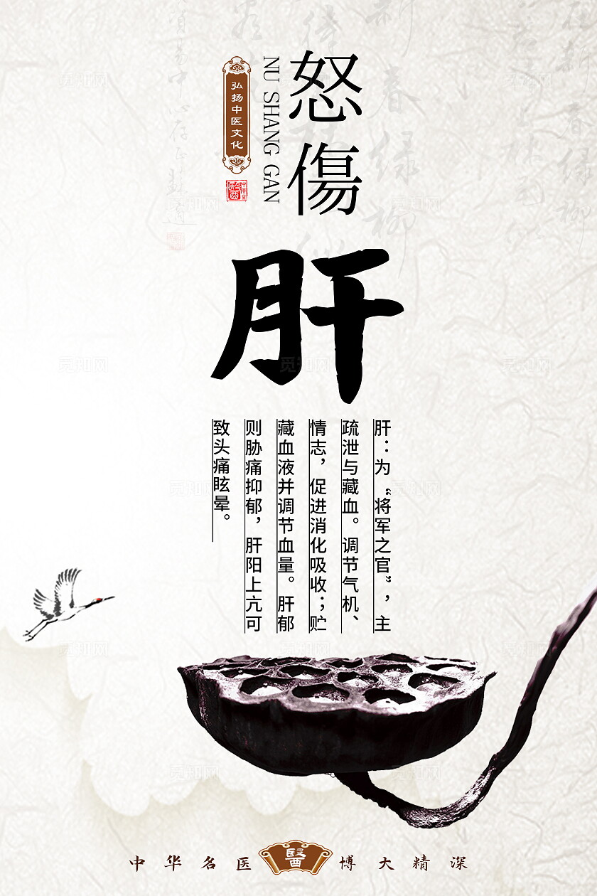 浅色心肝脾胃肾中医文化展板