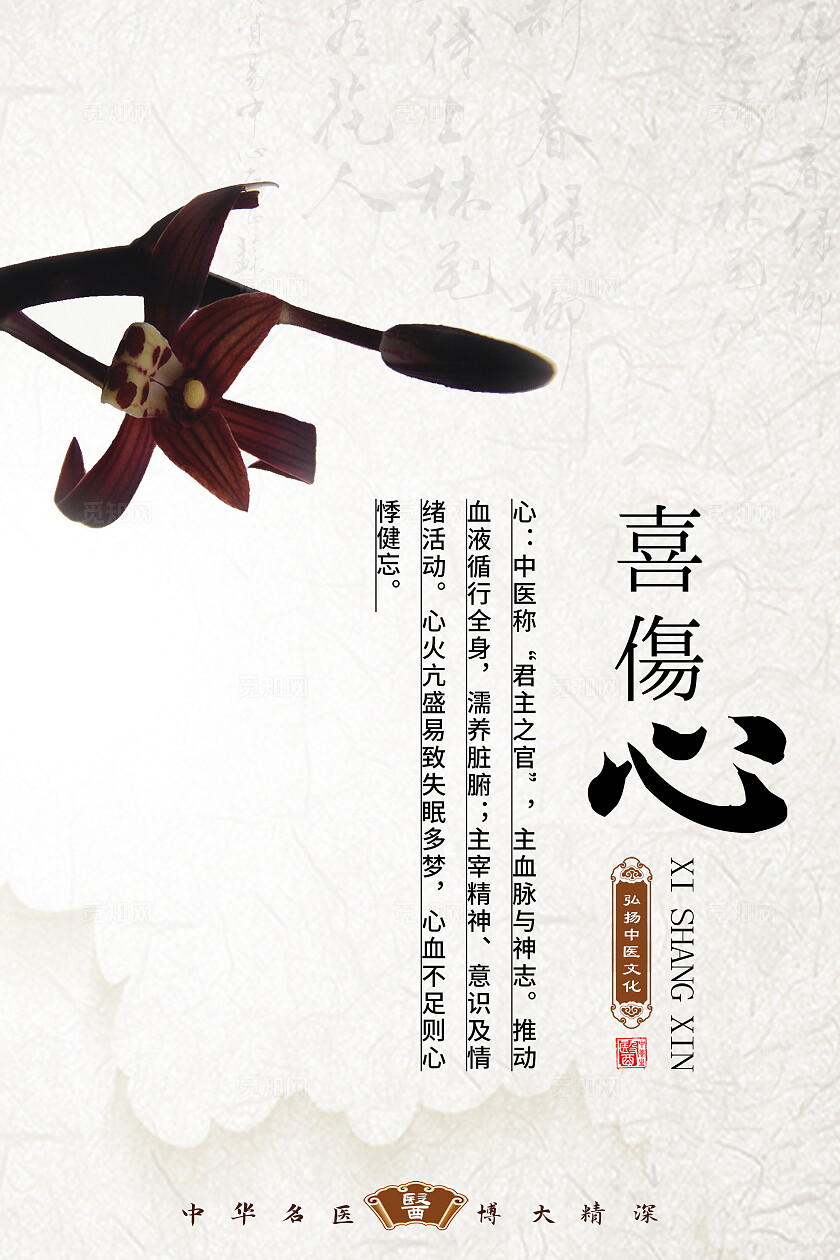 浅色心肝脾胃肾中医文化展板