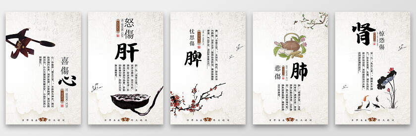 浅色心肝脾胃肾中医文化展板