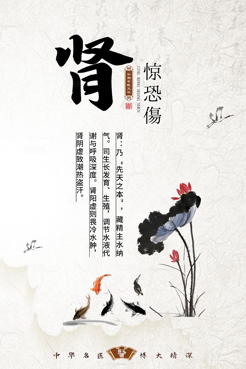 浅色心肝脾胃肾中医文化展板