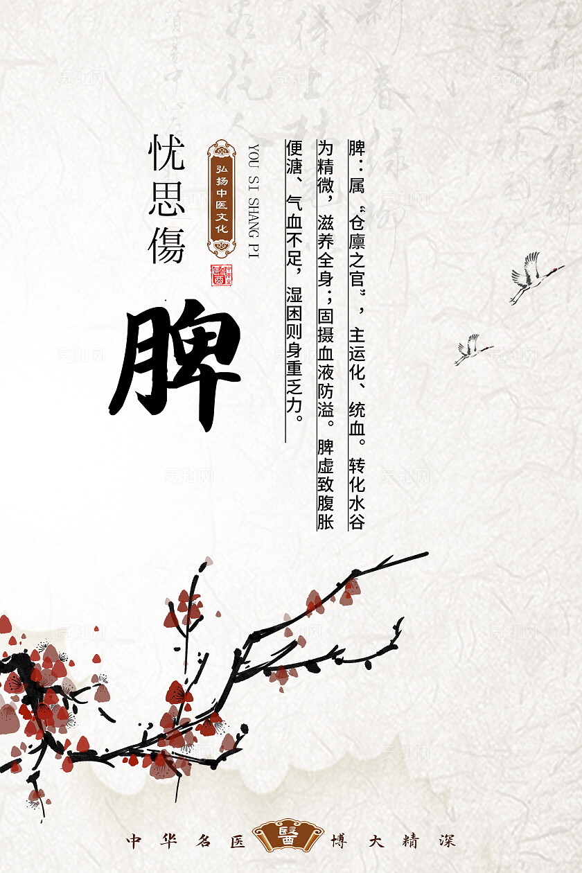 浅色心肝脾胃肾中医文化展板