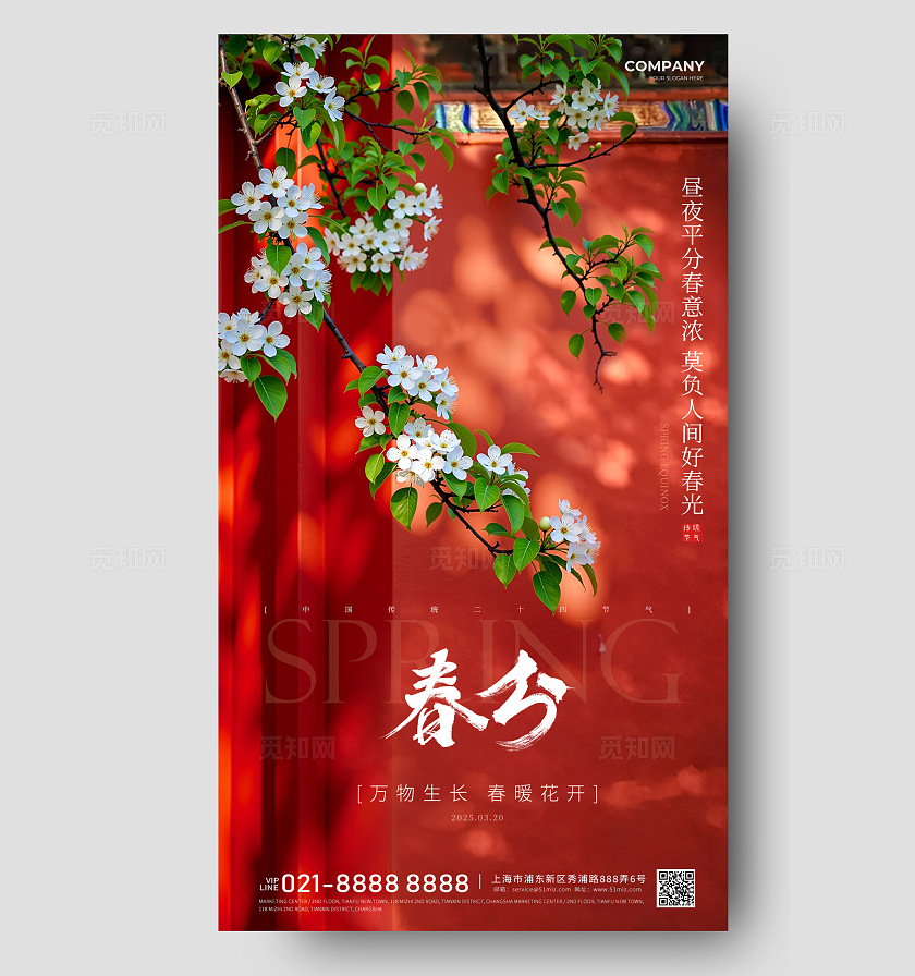 实拍风春分24节气手机海报宣传海报24节气二十四节气春分