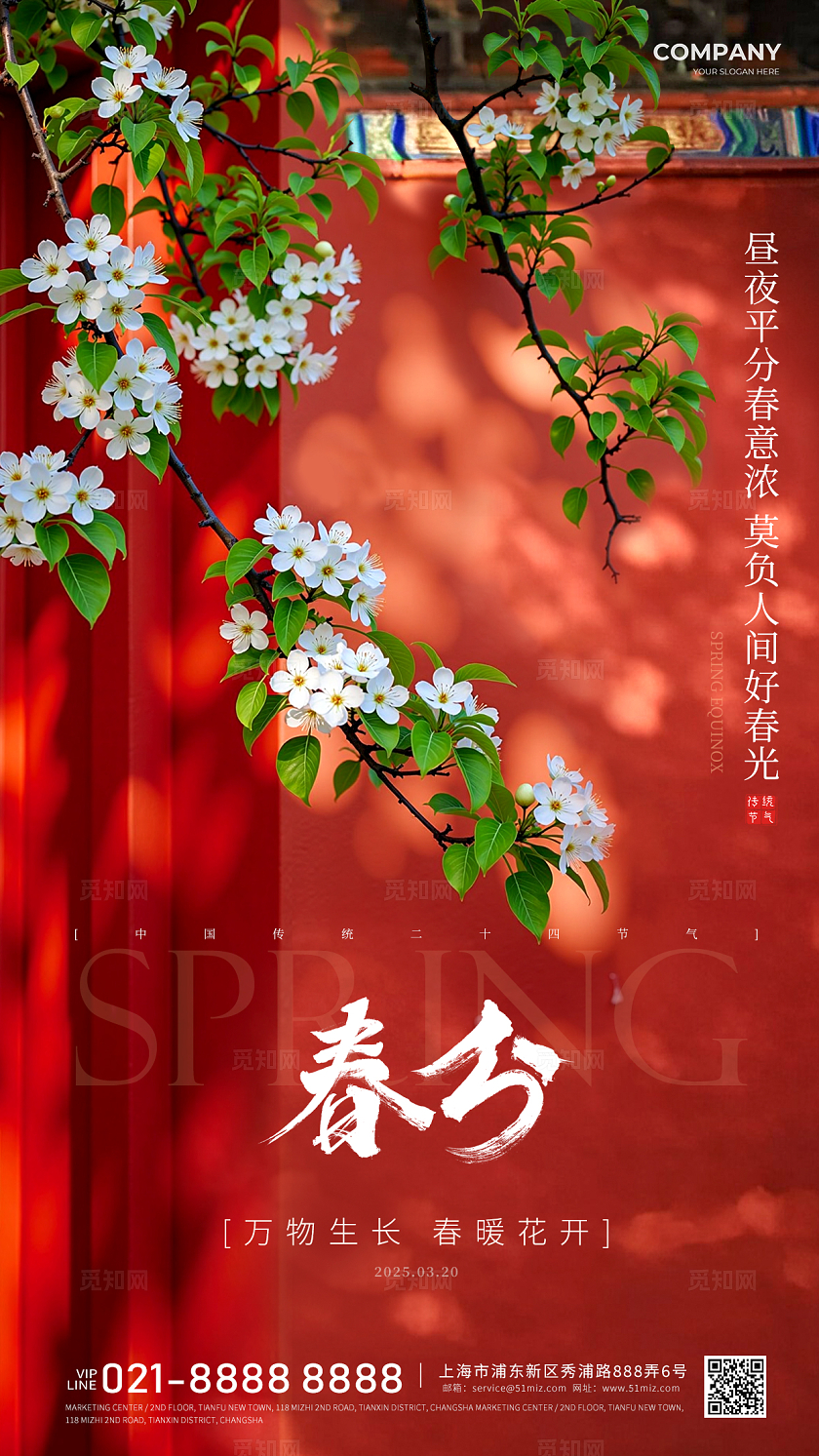 实拍风春分24节气手机海报宣传海报24节气二十四节气春分