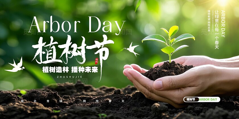 2025实拍风手捧树苗场景312植树节展板