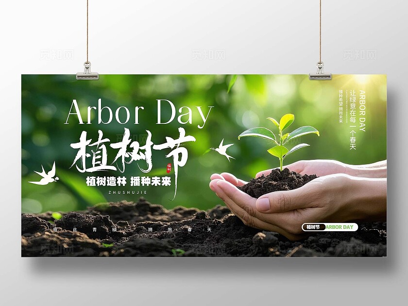 2025实拍风手捧树苗场景312植树节展板