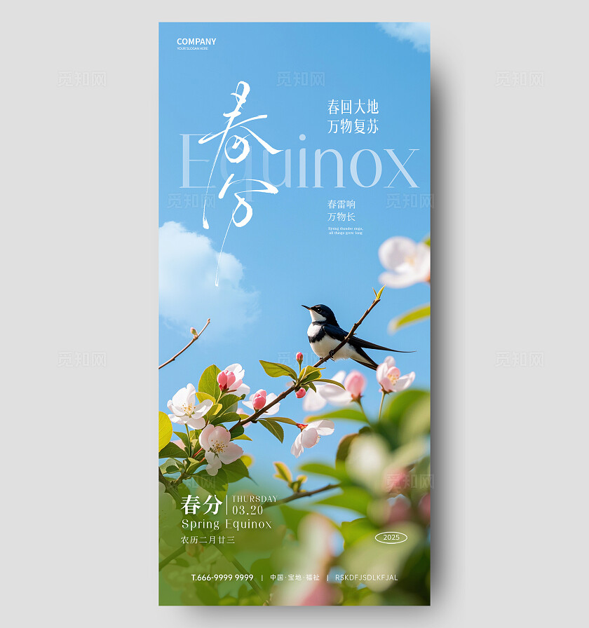 春分节气海报