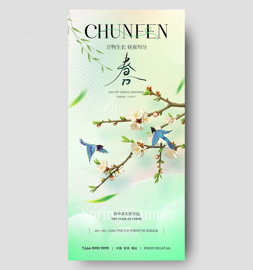 春分节气海报