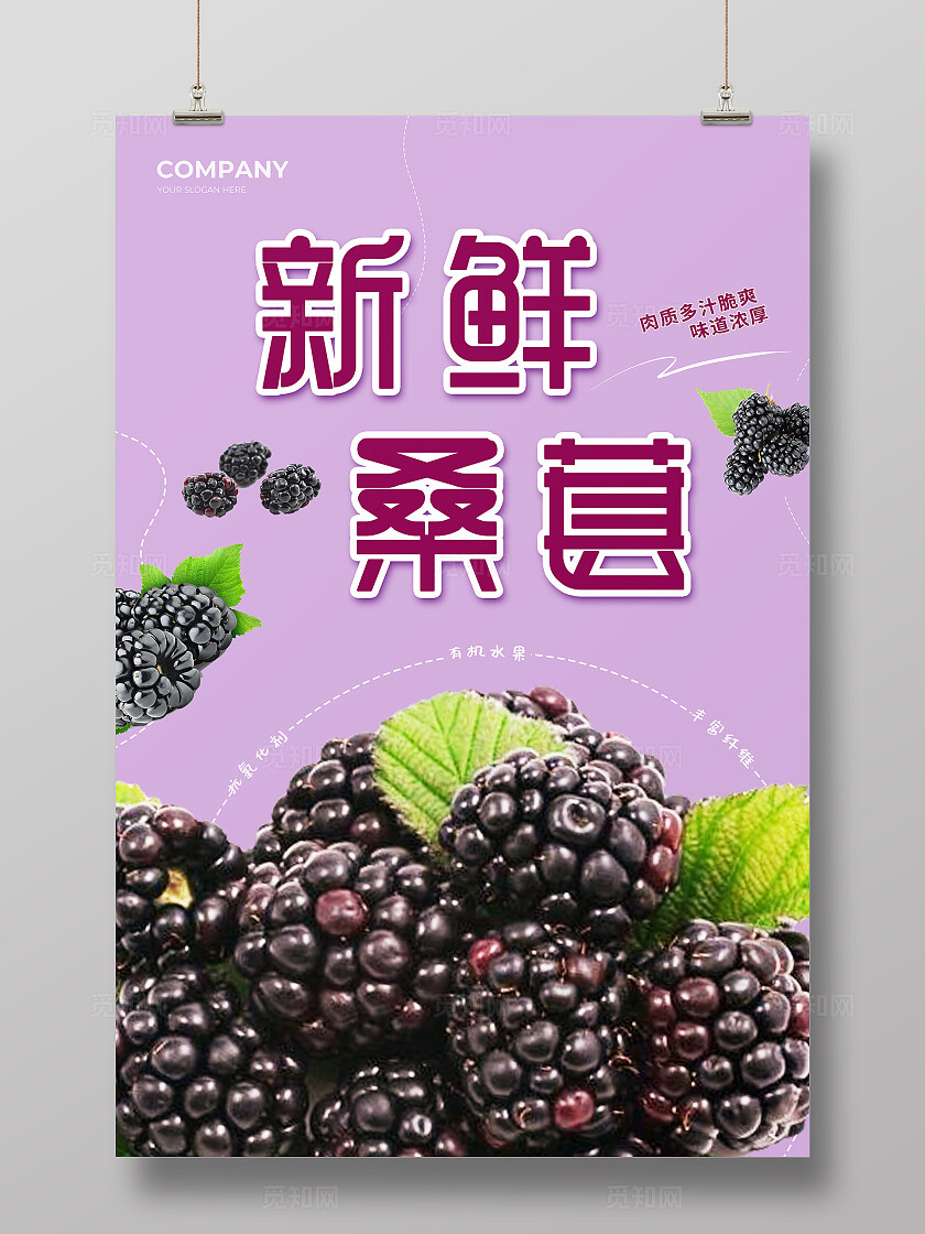 紫色简约美味健康桑葚宣传桑葚促销海报