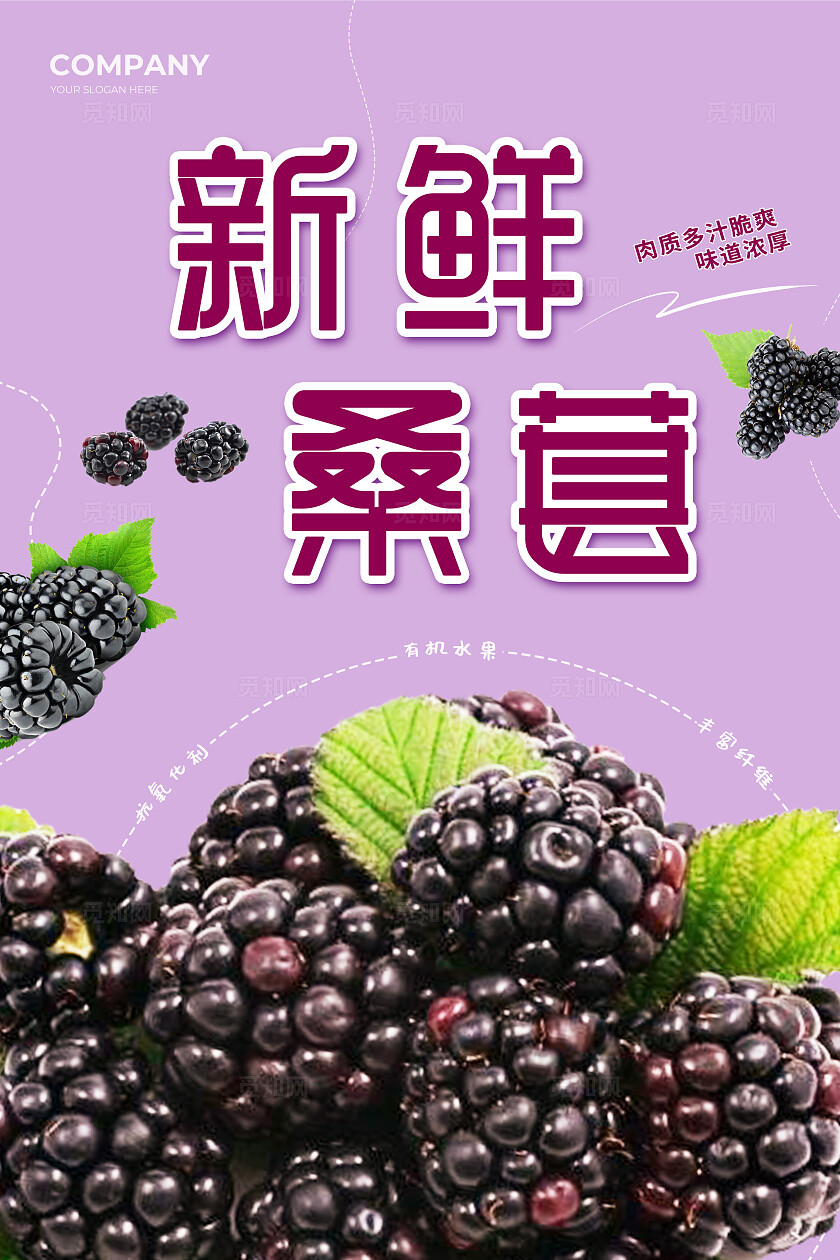 紫色简约美味健康桑葚宣传桑葚促销海报