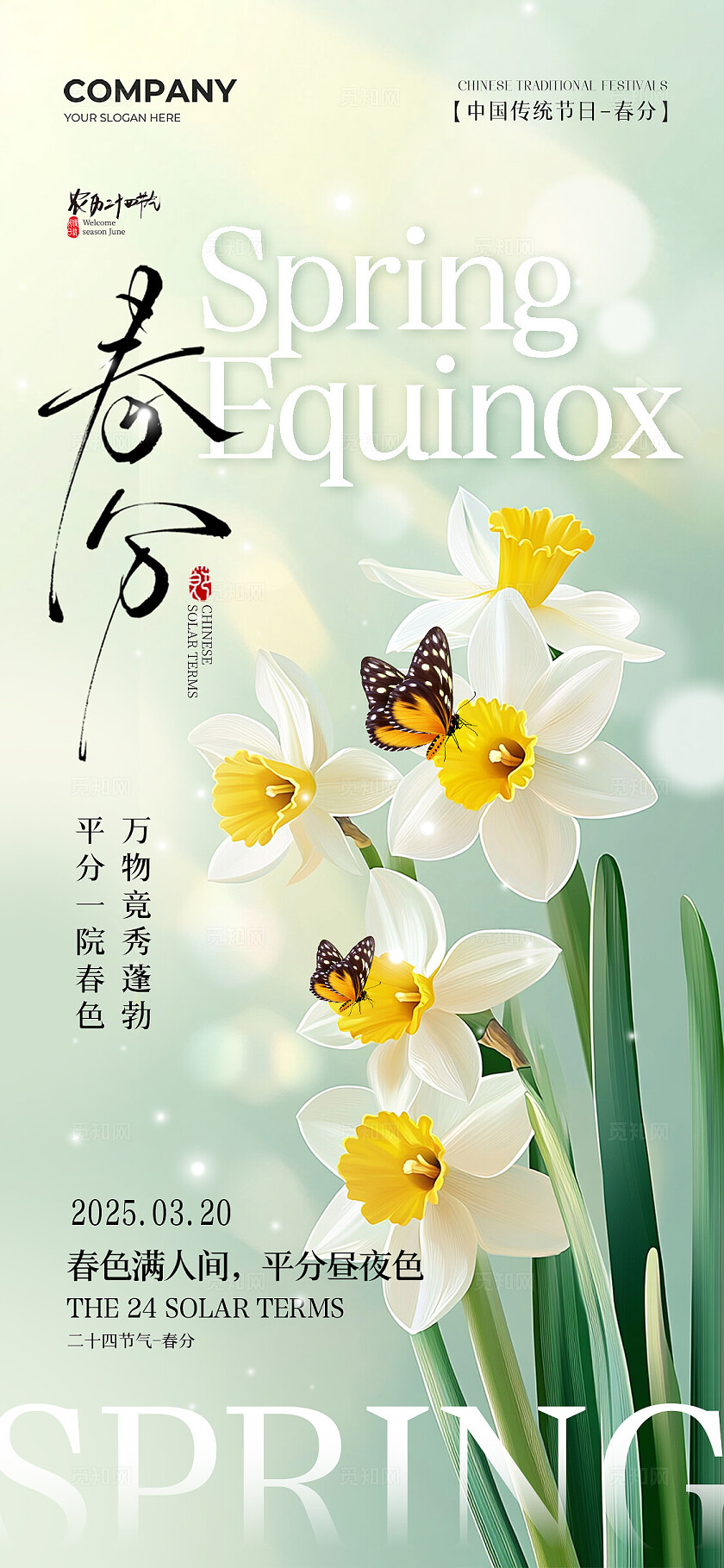 春天鲜花二十四节气春分节气手机宣传海报