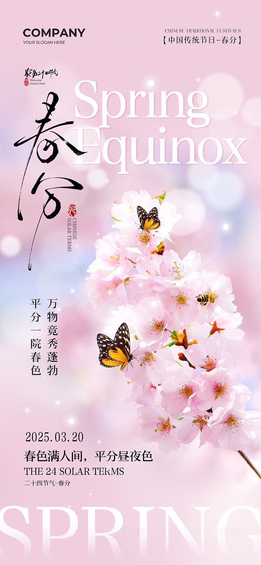 春天鲜花二十四节气春分节气手机宣传海报