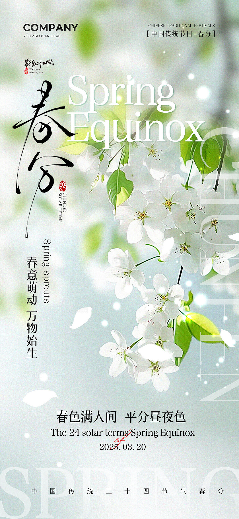 简约二十四节气春分节气手机宣传海报