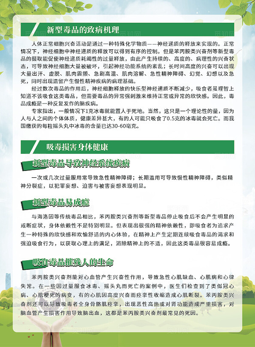 绿色大气青少年毒品预防教育知识宣传单设计