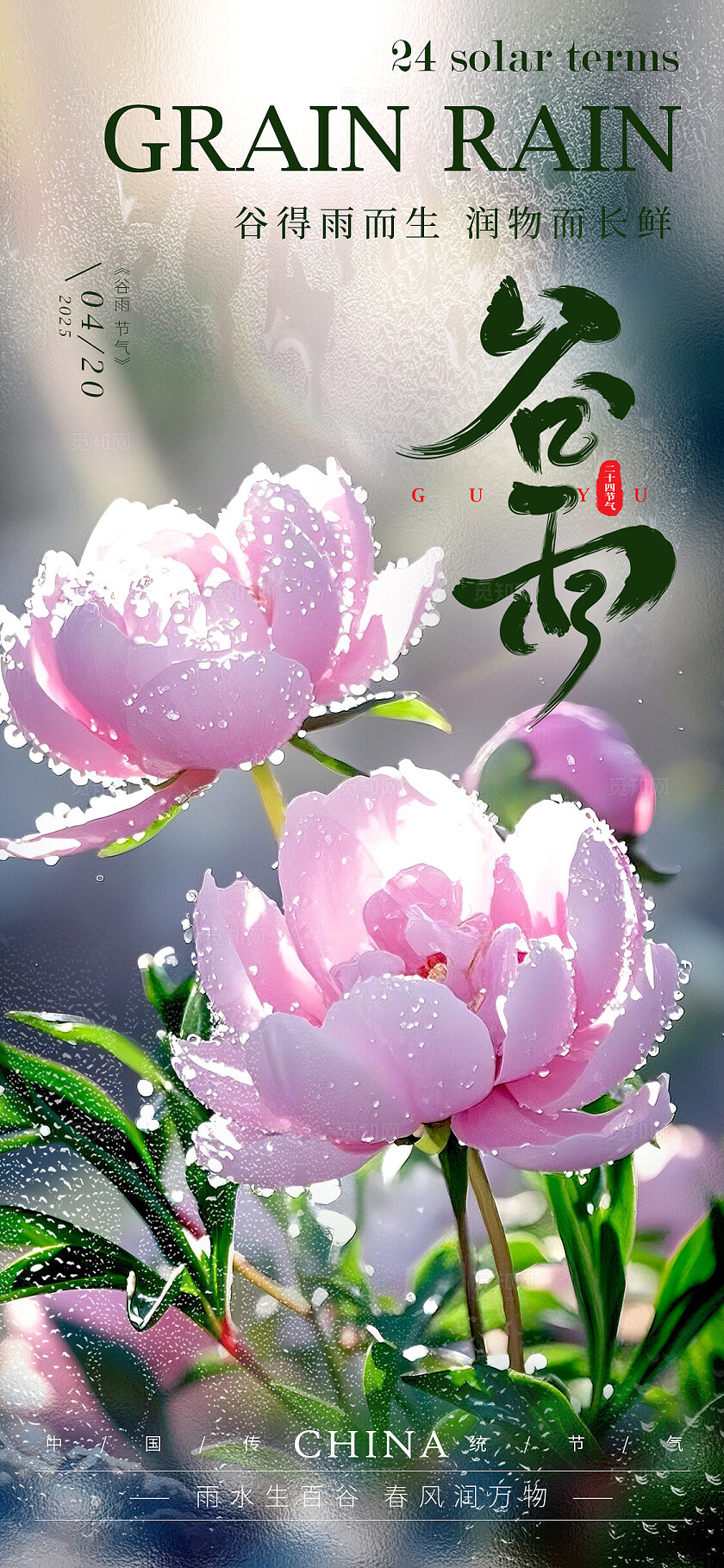 渐变色实拍风格谷雨谷雨手机宣传海报谷雨宣传海报谷雨海报节气