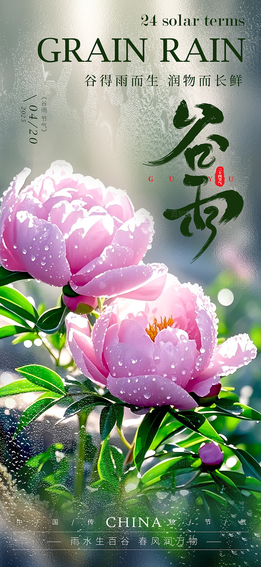 渐变色实拍风格谷雨谷雨手机宣传海报谷雨宣传海报谷雨海报节气